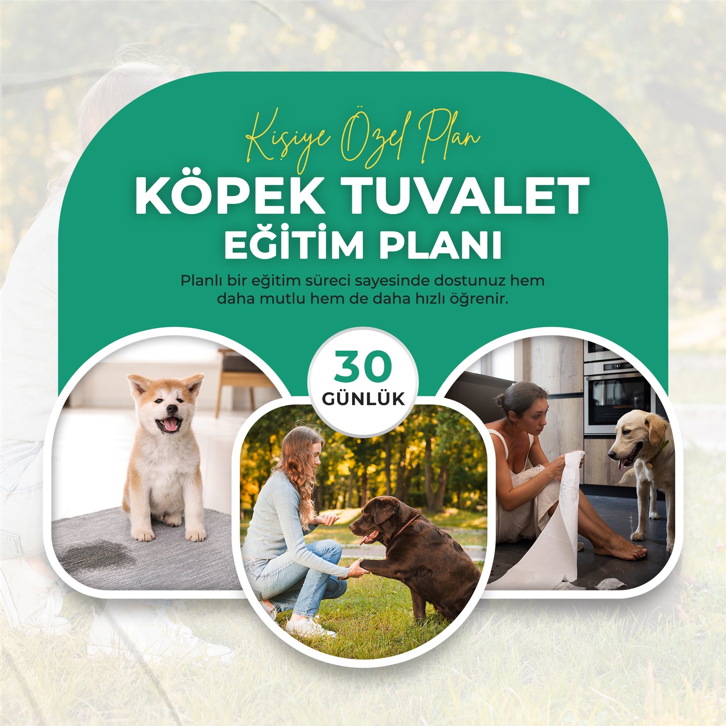 30 Günlük Köpek Tuvalet Eğitimi Planı