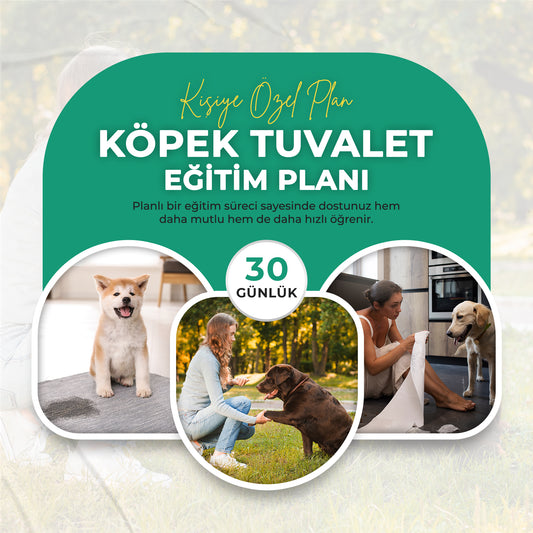 30 Günlük Köpek Tuvalet Eğitimi Planı