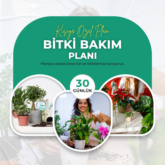 30 Günlük Bitki Bakım Planı